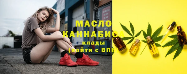 гашик Каменногорск