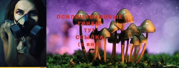 стафф Каменка