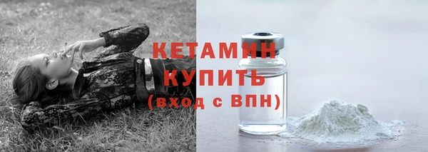 стафф Каменка