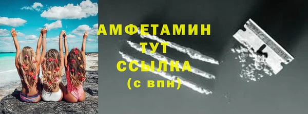 стафф Каменка