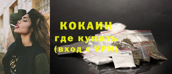стафф Каменка
