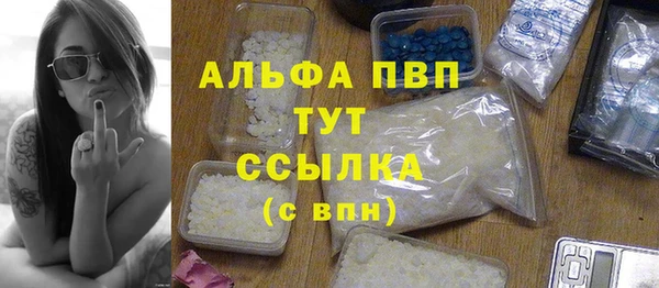 гашик Каменногорск