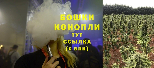 гашик Каменногорск