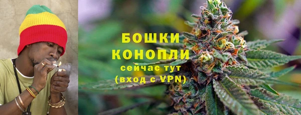 гашик Каменногорск
