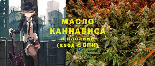гашик Каменногорск