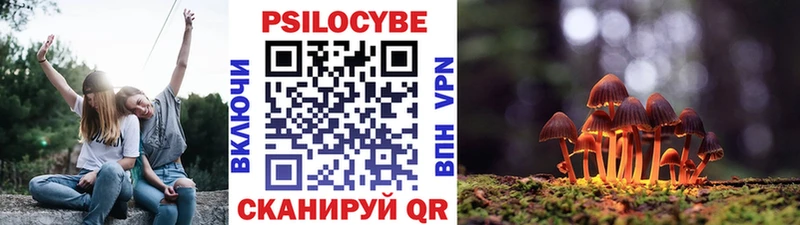 Псилоцибиновые грибы MAGIC MUSHROOMS  Купить закладки  Нерюнгри 